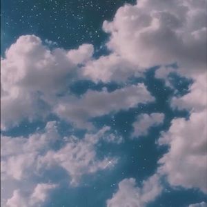 Meet your Posher, Jerrie’s